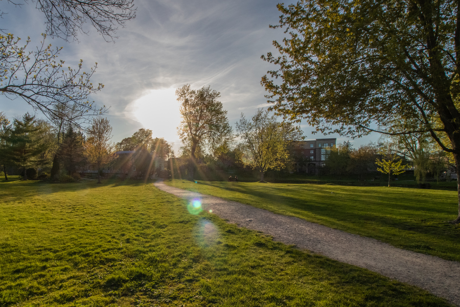Pathway leading through park towards sun during mid-afternoon