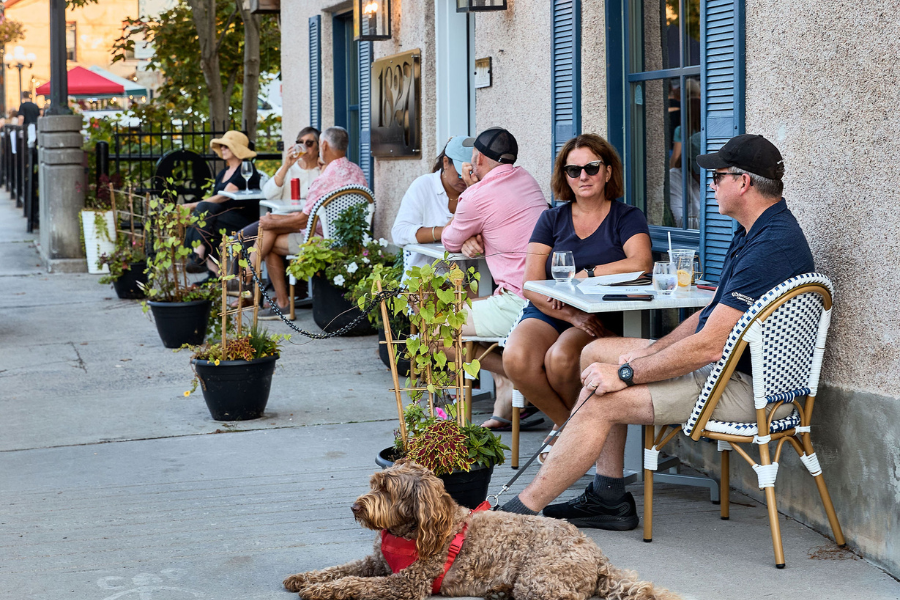 Several people seated on an outdoor patio with a dog