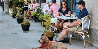 Several people seated on an outdoor patio with a dog