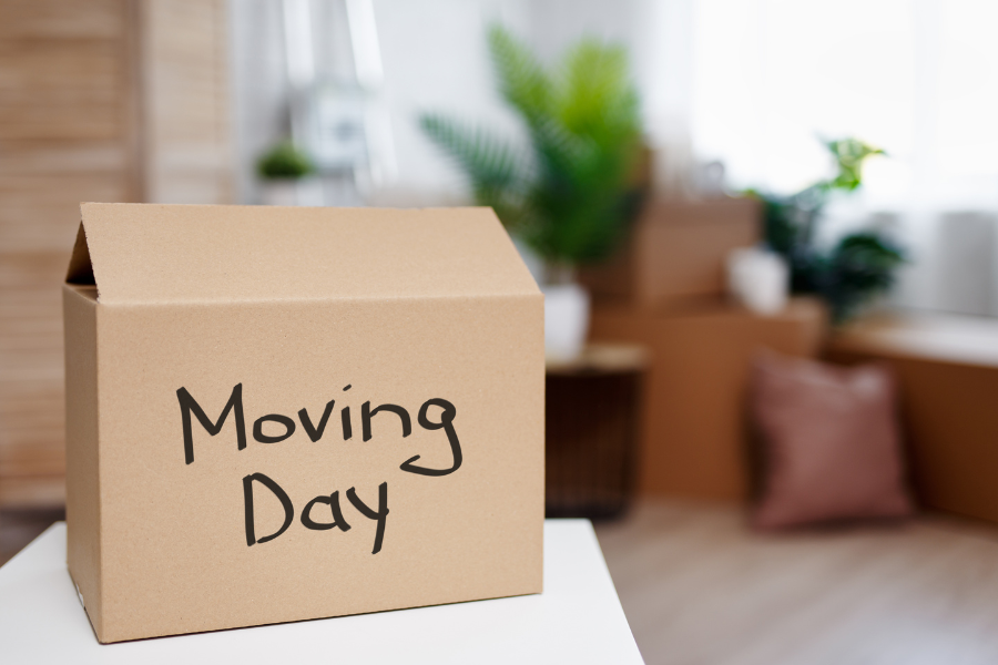 Brown cardboard box with "Moving Day" written on it, sitting on top of a table. Various household items are in the background